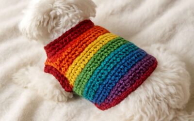 Charming Dog Clothing Crochet Pattern Ideas for Cozy, Stylish Pet Wear