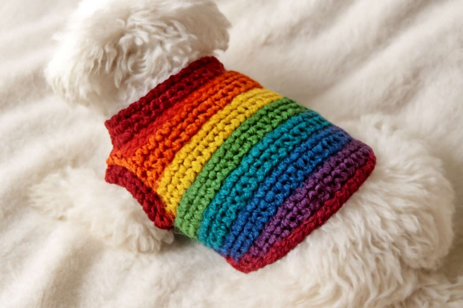 dog clothing crochet pattern