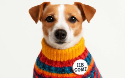 Unlock the dog clothing hs code: a savvy guide to importing dog apparel worldwide