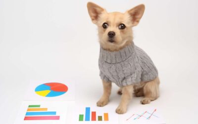 Dog fashion boom: why dog clothing industry statistics signal a surge in pet style