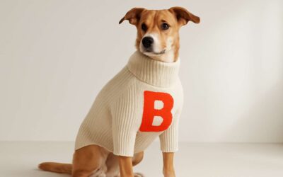 Paw-some branding ideas: dog clothing brand logo that captures pup fashion