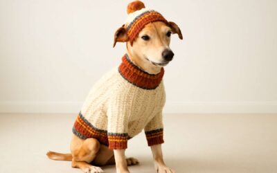 Meet the dog clothing designer who turns every pup into a runway sensation.